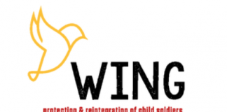 Wing